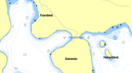 Genesvikarna